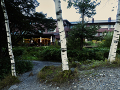 白樺から覗く白樺荘