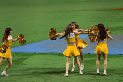 ホークス 優勝の瞬間のハニーズ