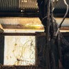 廃小屋から伸びる