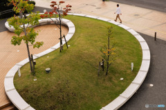 朝