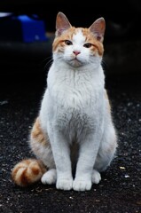 窪塚の角度