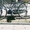 ハチワレ