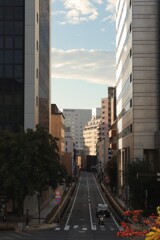 朝