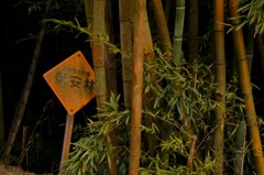 保安林