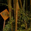 保安林