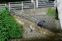 小雨