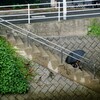 小雨