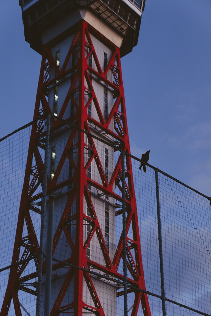 カラスとタワー