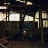 廃小屋から垂れる