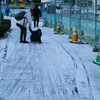 母娘