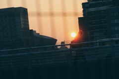 登校