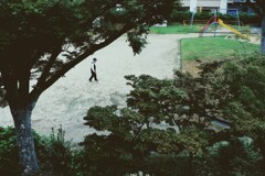 朝公園