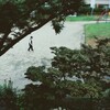 朝公園