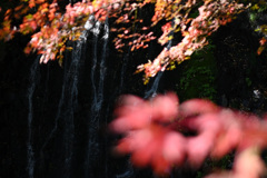 滝