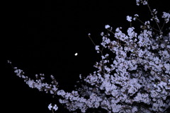 夜