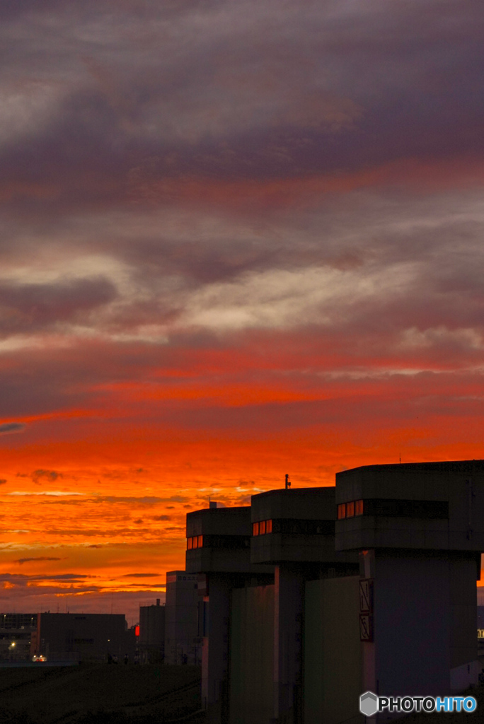 夕陽と三兄弟