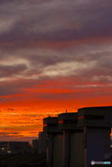 夕陽と三兄弟