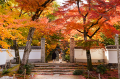静かな紅葉