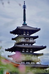 ヤマハギと東塔