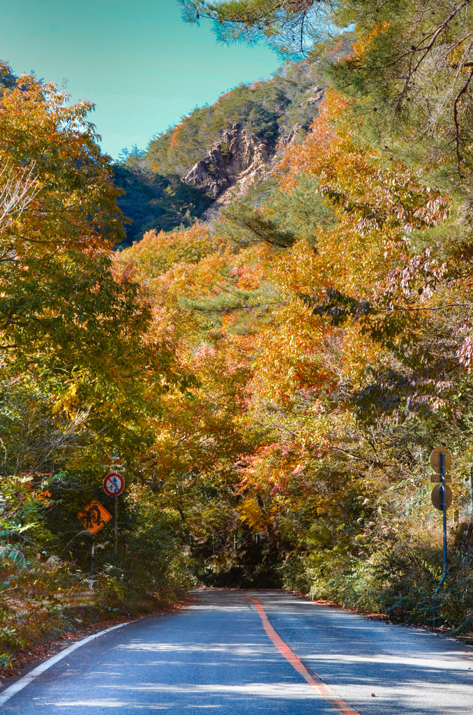 岩山と紅葉