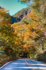 岩山と紅葉