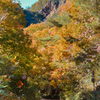岩山と紅葉