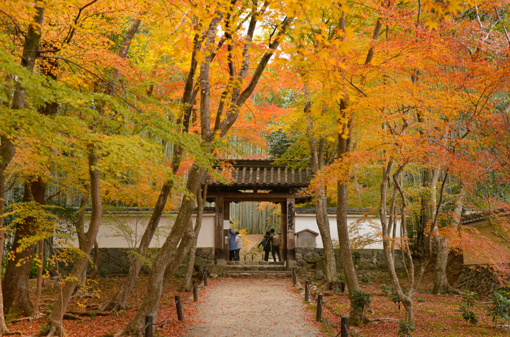山の麓