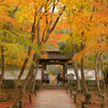 山の麓