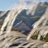 秋の訪れ