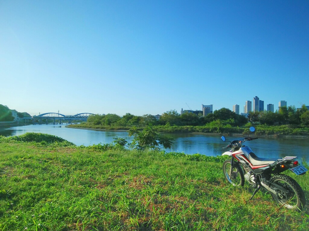 水上都市