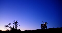 夕暮れﾌﾞﾙｰ