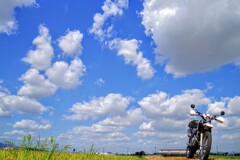 晩夏の曇