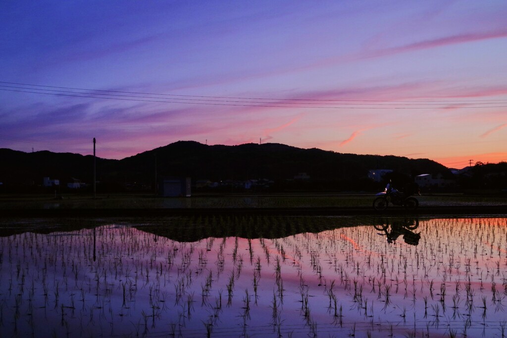 徳島夕景