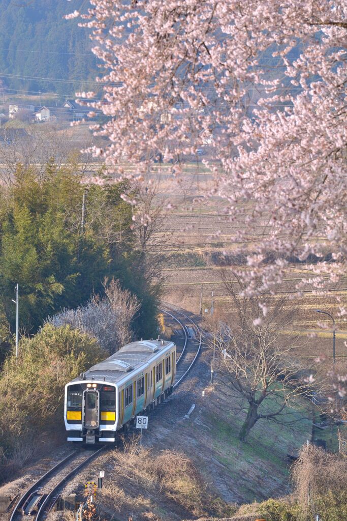 春朝紀行