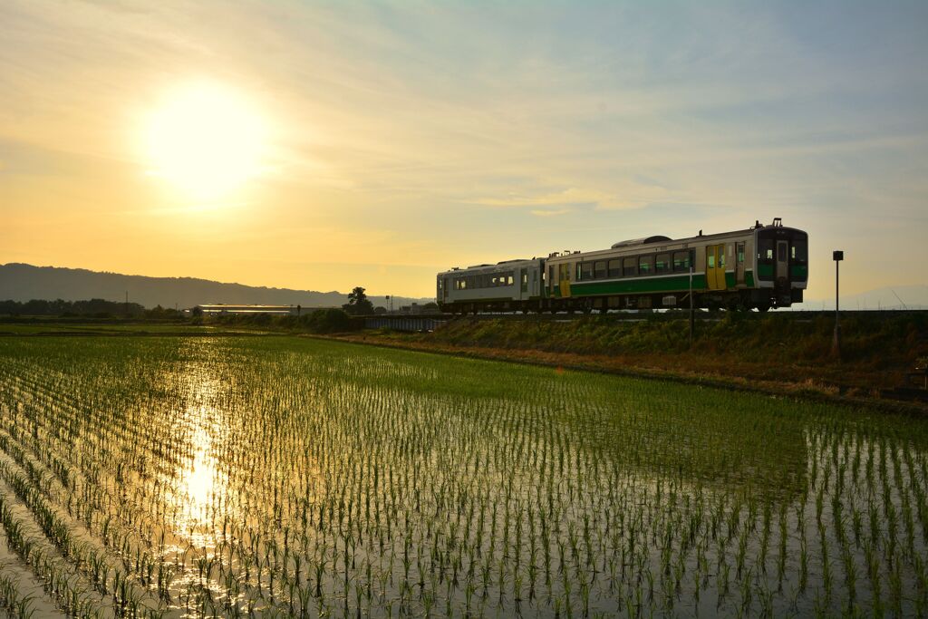 夕陽に向かいて