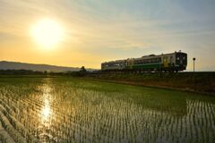 夕陽に向かいて