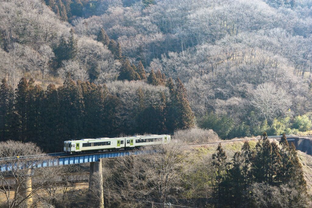 浅春の淡き朝