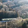 浅春の淡き朝