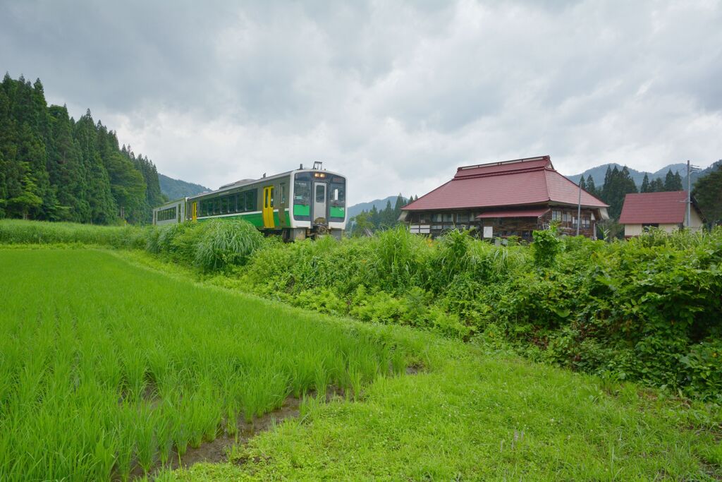 土潤溽暑 2