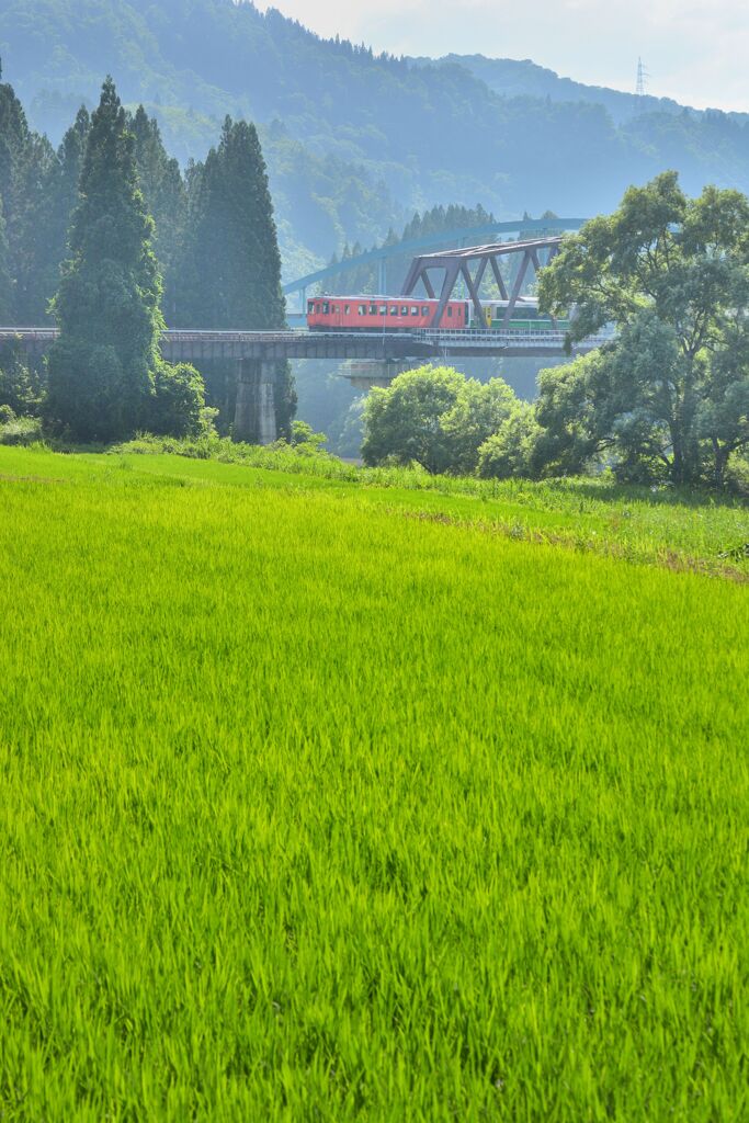風光ル