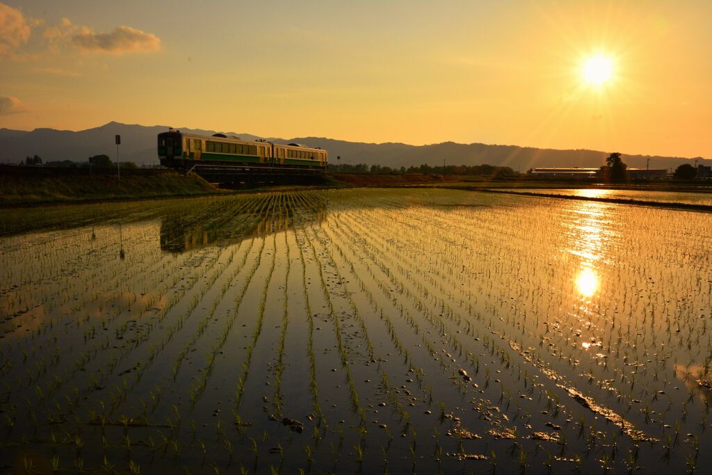 夕陽に向かいて 2
