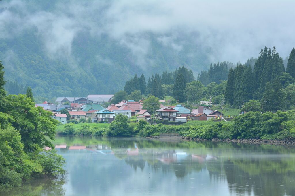 溽暑の朝