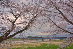 空はけふ東雲色らし
