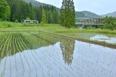 手を振れば汽笛応える只見線