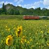 過行く夏の片隅にて
