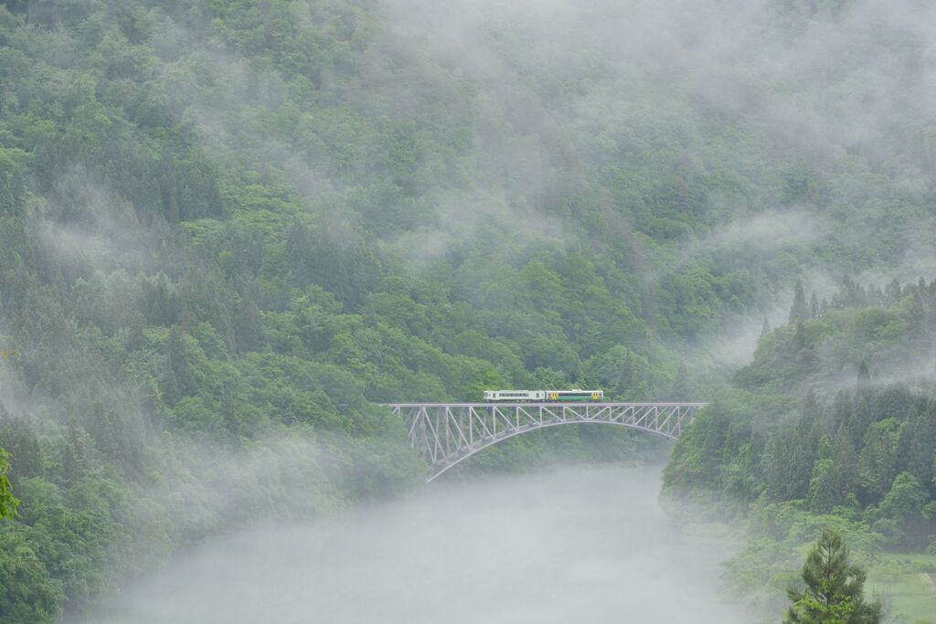 緑雨滴ル