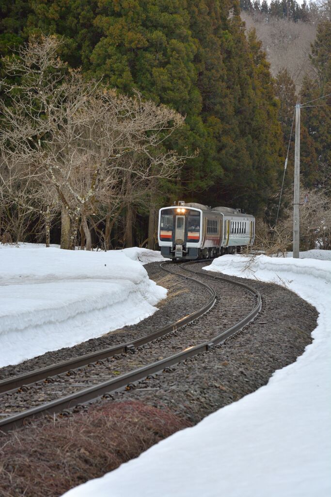 残雪の疎林を跨ぎて