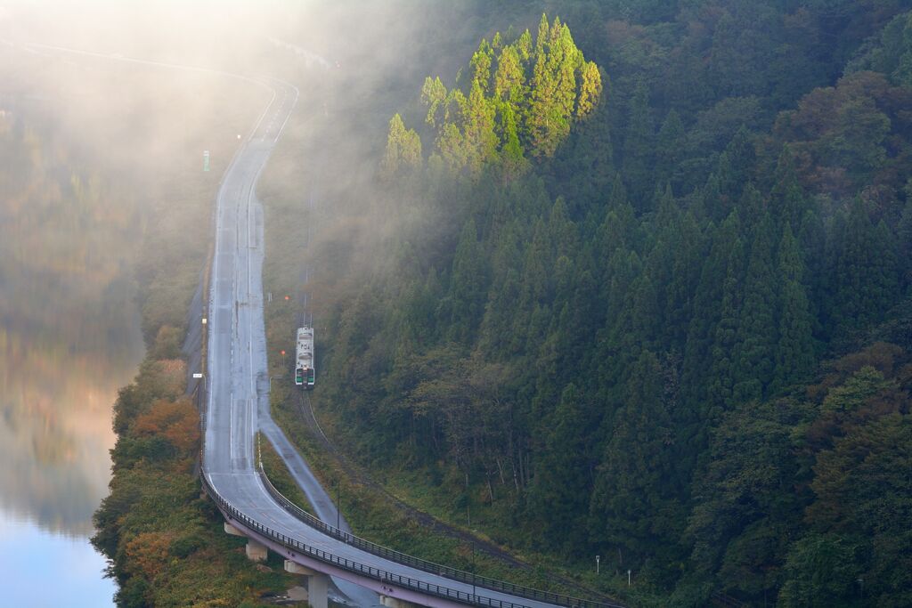 叢にすだくばかりの声もなし