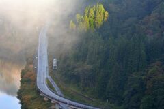 叢にすだくばかりの声もなし