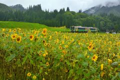 暮夏の情景